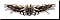 �������� ���������� �������� [12]